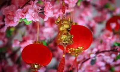 Новый год по лунному календарю отмечают 12 февраля