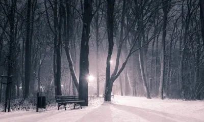 В Благовещенске прошла аномально теплая ночь