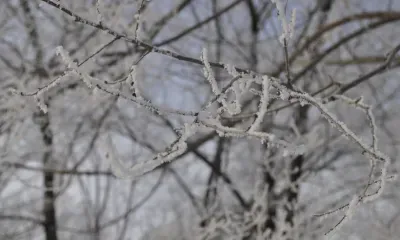 Сильный ветер, до 13 градусов мороза: погода 16 февраля в Благовещенске