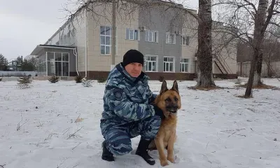 Собака в Благовещенске нашла вещи, украденные из частного дома