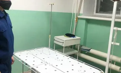 Общественники займутся отловом собак в тындинском поселке, где покусали ребенка