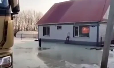 Подземные воды в Чигирях затопили переулок Счастливый