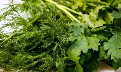 Свежая зелень может быть опасна для здоровья, предупредили в Роспотребнадзоре