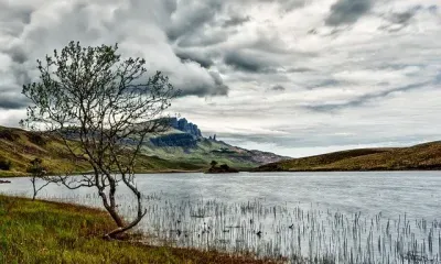 На аренду охотугодий в Амурской области подано 80 заявлений