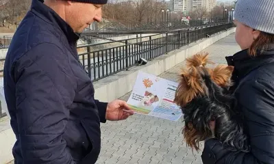 Владельцам собак на улицах Благовещенска раздали инструкции по выгулу животных