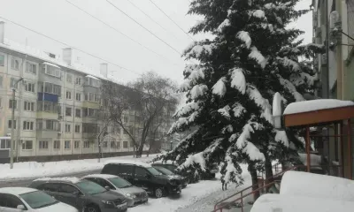 Переменная облачность, снег: погода 25 марта в Благовещенске