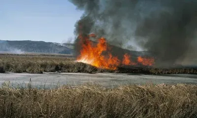 35 ландшафтных пожаров произошло в Благовещенском районе в марте