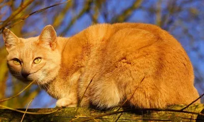 Первые выходные в апреле для Приамурья станут контрастными