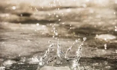 Василия Теплого по народному календарю отмечают 4 апреля