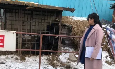 Прокуратура нашла нарушения на благовещенской базе, где медведь схватил мужчину