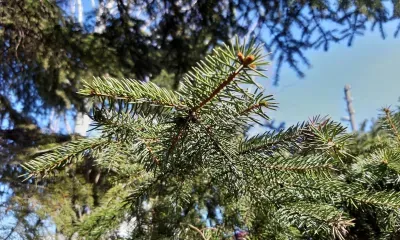 Без осадков, сильный ветер: погода 19 апреля в Благовещенске