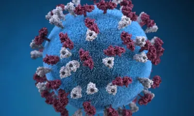 Следы эпидемии коронавируса, бушевавшей 20 тысяч лет назад, нашли ученые