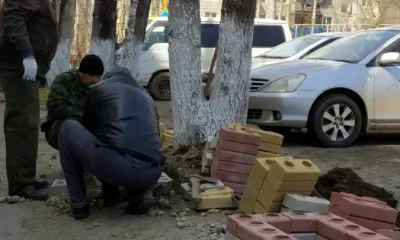 Клумбы из покрышек в одном из дворов Благовещенска заменили лего-кирпичами