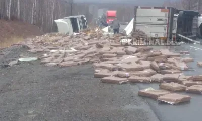 В Сковородинском районе во время ДТП из машины выпали коробки с рыбой