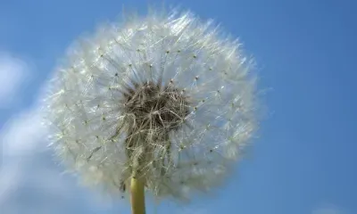 Малооблачно, слабый ветер: погода 7 июня в Благовещенске