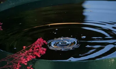 Ржавую воду в грязной автоцистерне привозили жителям Селемджинского района