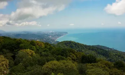 Ограничить въезд в Сочи для туристов из-за коронавируса предложили в Госдуме