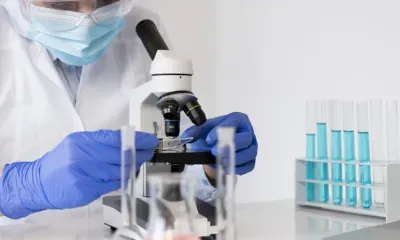 Тест для выявления четырех наиболее значимых мутаций коронавируса разработали в России