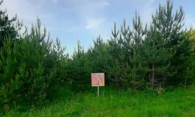 Бабой-ягой напугали посетителей леса в Сковородинском районе