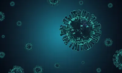 Цель эволюции коронавируса назвал профессор "Сколтеха"