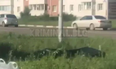 Труп мужчины обнаружили в отдаленном районе Благовещенска