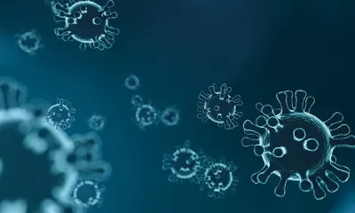 В Амурской области за сутки выявлены 115 новых случаев COVID-19