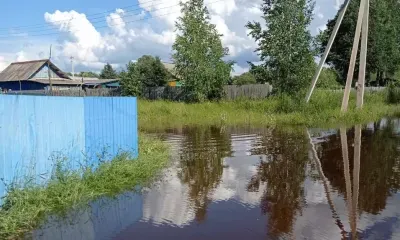 Река подтопила приусадебные участки в Норске Селемджинского района