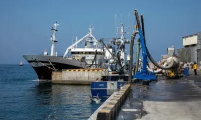 Перевозки минтая с Дальнего Востока в центр России просубсидирует правительство РФ