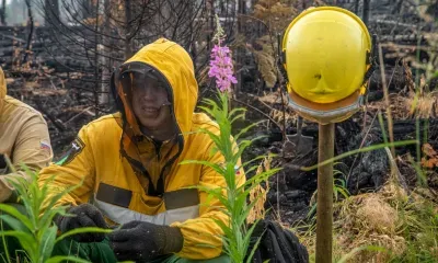Борьба с лесными пожарами не прекращается на Дальнем Востоке 