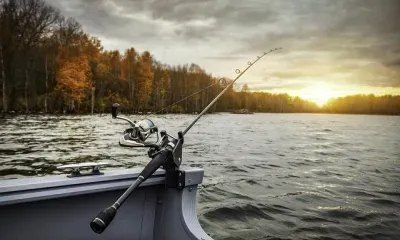 Красная рыба гибнет на Дальнем Востоке в переполненных речках