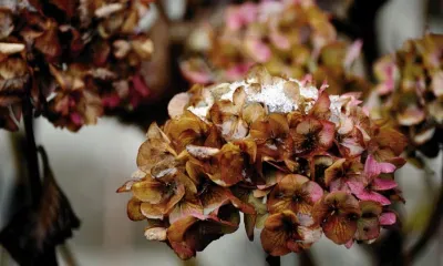 Снег может пойти в начале сентября в нескольких российских регионах