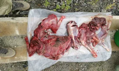 Возле Циолковского задержали браконьеров на квадроцикле