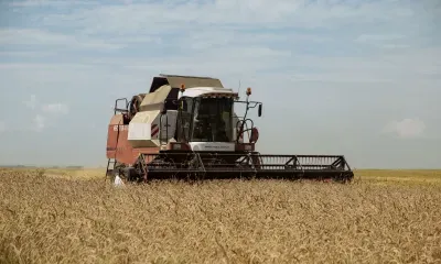 Аграрии региона получают по 100 миллионов рублей ежегодно на работу с элитными семенами