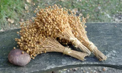 Евтихий Тихий 6 сентября по народному календарю 