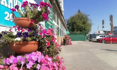 На севере пройдут дожди: погода в Приамурье 6 сентября