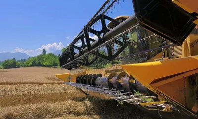 Более 10 гектаров земель введено в оборот в Благовещенском районе