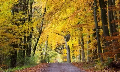 "Бабье лето" может стать причиной простудных заболеваний и вирусных инфекций