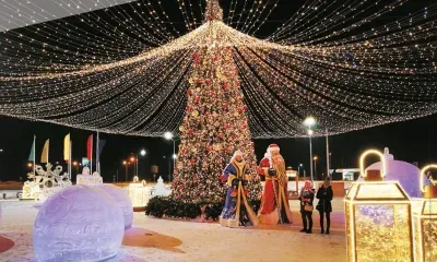 Тигр и сказка "Дружба народов" появятся к Новом году в Свободном на новой площадке