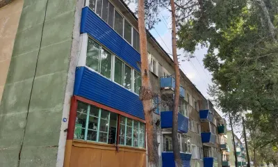 "Живой" самовосстанавливающийся бетон разработали на Дальнем Востоке