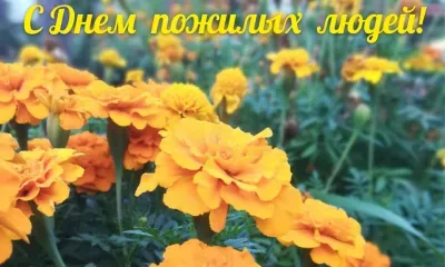 Международный день пожилых людей празднуют 1 октября