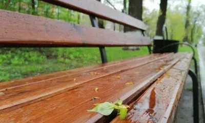 Небольшие дожди ожидаются в Приамурье 3 октября