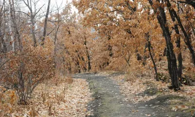 В Амурской области 7 октября атмосферный вихрь нарушит стабильность погоды