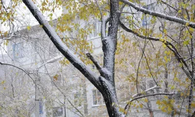 Покров день: приметы и традиции праздника