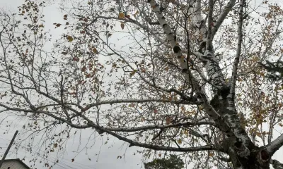 Суровый ноябрь спрогнозировал Дальнему Востоку Гидрометцентр