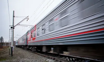 350 домашних питомцев стали пассажирами ЗабЖД с начала 2021 года
