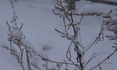 В Амурской области 10 ноября ожидаются осадки от небольших до умеренных