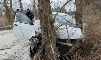 Водитель врезался в дерево на объездной дороге в Благовещенске