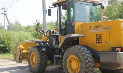 Скотомогильники ликвидируют в селах Амурской области 