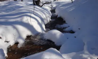 Мощный циклон с сильным ветром ожидается в Амурской области
