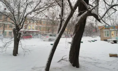 Активный циклон на следующей неделе значительно не повлияет на Приамурье